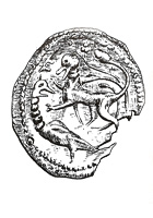 piece
